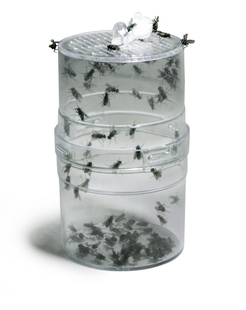Лаки Рептайл Контейнер Fly Feeder ff-1 для содержания кормовых летающих насекомых, Lucky Reptile