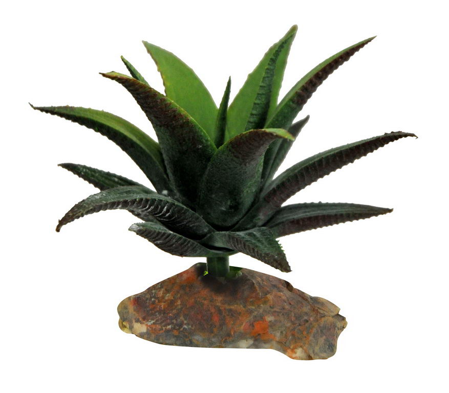 Лаки Рептайл Декоративное растение Succulent для террариумов, 10 см, Lucky Reptile