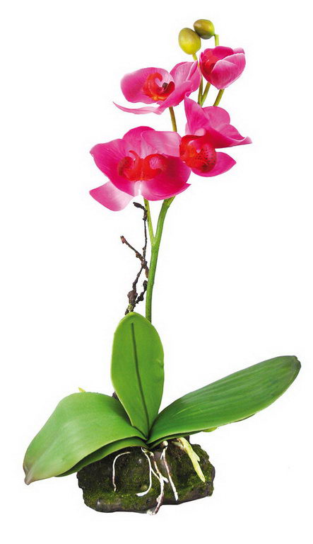 Лаки Рептайл Декоративное растение Orchid pink розовое, 30 см, Lucky Reptile