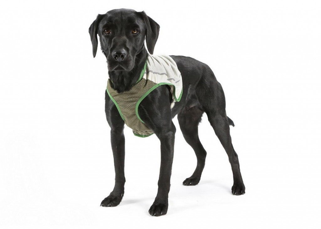 Скрафс Защитный жилет с пропиткой от блох и клещей для собак Insect Shield Dog Vest в ассортименте, Scruffs
