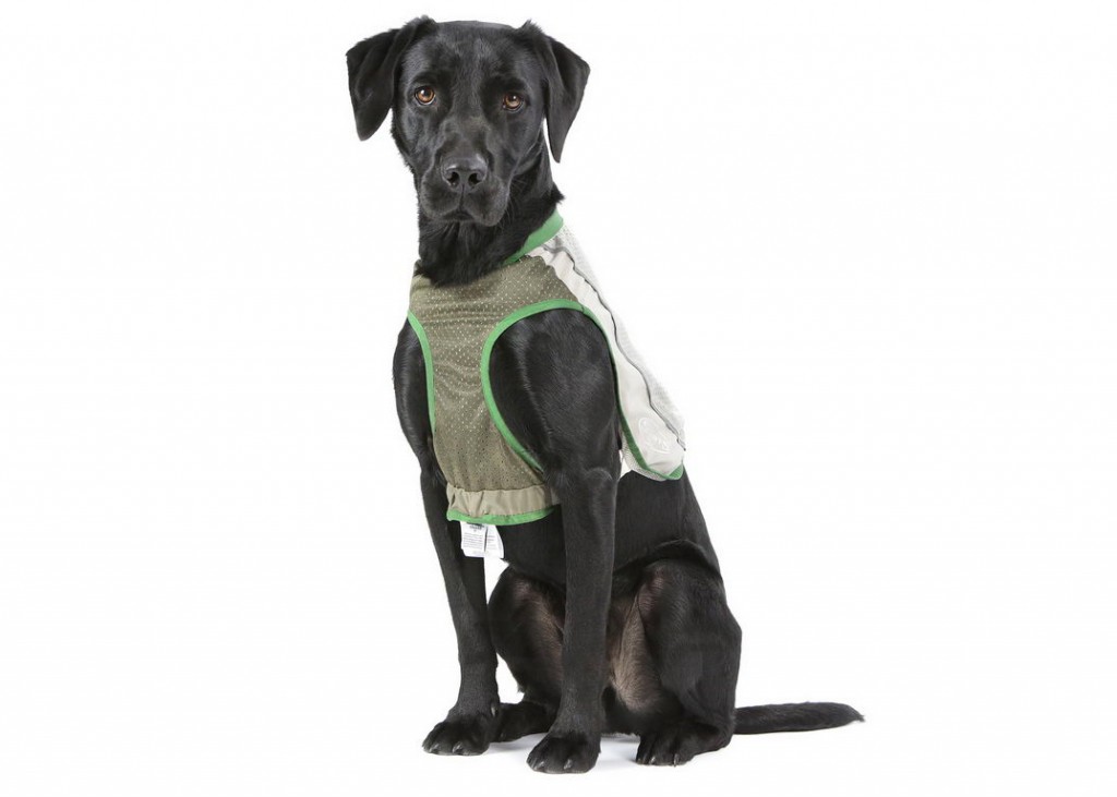Скрафс Защитный жилет с пропиткой от блох и клещей для собак Insect Shield Dog Vest в ассортименте, Scruffs