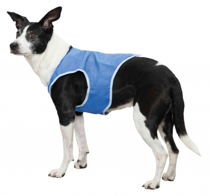 Трикси Жилет-попона охлаждающая для собак, синяя, в ассортименте, Trixie 