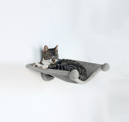 Трикси Подвесной гамак для кошек, 42*41 см, серый, Trixie