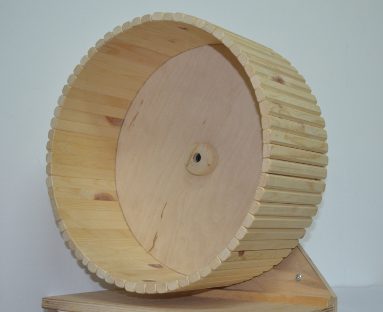 Деревянное колесо для бега, можно вешать на прутья или поставить на пол, в ассортименте, сосна, Россия