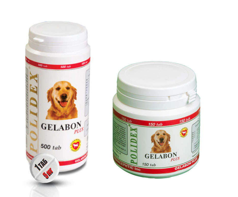 Полидекс Препарат для собак Gelabon plus (Гелабон плюс), для профилактики и лечения заболеваний опорно-двигательного аппарата , Polidex