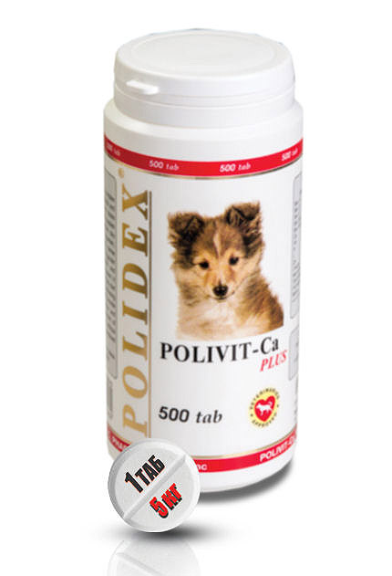 Полидекс Витамины для собак Polivit-Ca plus (Поливит-Кальций плюс), для роста костной ткани и фосфорно-кальциевого обмена, 500 таблеток, Polidex 