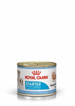 Стартер Мусс Роял Канин для щенков всех пород до 2 месяцев, беременных и кормящих собак, Starter Mousse, 12*195 г, Royal Canin