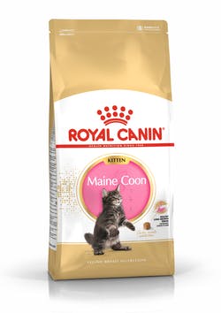 Корм Роял Канин для котят породы мейн-кун в возрасте от 3 до 15 месяцев, других крупных пород (сибирских, норвежских лесных), Maine Coon Kitten, в ассортименте, Royal Canin